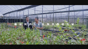 640 (1).gif